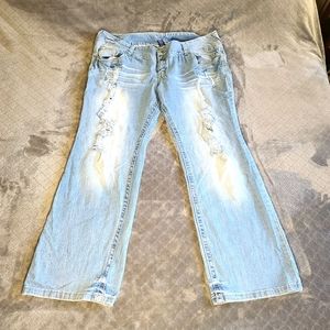 Amethyst Jean Size 22 Distressed